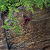 Topo Elbtal 2 (Labak)